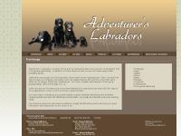 advlabs.net Adventurer's Labradors, Labrador Retriever, Labrador Retriever puppies