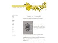 ael-ear-piercing.co.uk ear piercing, ear piercing jewellery, body jewellery