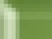 Aeron Vale Allotment Society's AWARD WINNING website Aeron Vale Allotment Society's AWARD WINNING website