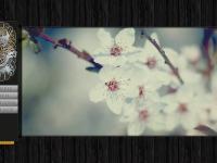 Maxence MELONI portfolio - Web-Développeur / Intégrateur - Aeroth-Web.fr // Digne les bains Maxence MELONI portfolio - Web-Développeur / Intégrateur - Aeroth-Web.fr // Digne les bains