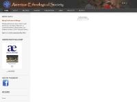 AES ONLINE AES ONLINE