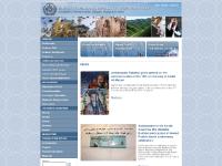 The Afghanistan Embassy - EMBASSY The Afghanistan Embassy - EMBASSY