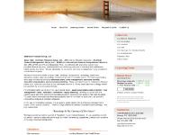 American Financial Group American Financial Group