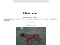 Web Hosting by Netfirms | Free D Web Hosting by Netfirms | Free D