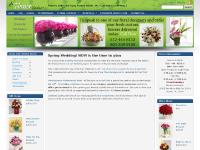 Fall - Autumn, Romantic Red Ro..., Hanukkah, Winter  Fall - Autumn, Romantic Red Ro..., Hanukkah, Winter