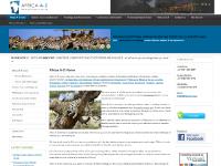 africaa-z.com Africa A-Z, African Attractions, Safaris & Safari Types africaa-z.com Africa A-Z, African Attractions, Safaris & Safari Types