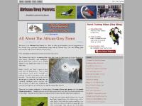 african-grey.com african-grey.com
