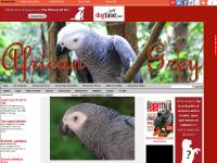 african-grey.net African Grey Photos, African Grey Shop, African Grey Videos african-grey.net African Grey Photos, African Grey Shop, African Grey Videos