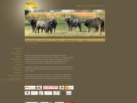 Destination Videos, Botswana, Kenya, Madagascar Destination Videos, Botswana, Kenya, Madagascar