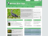 African Bird Club birds, birding, bird watching, conservation and travel in Africa African Bird Club birds, birding, bird watching, conservation and travel in Africa