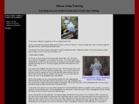 African Grey Parrots | African Greys