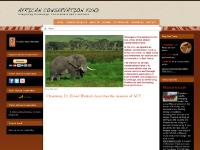 africanconservationfund.org Africa, wildlife, Kenya