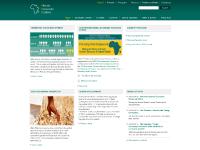 africaneconomicoutlook.org English, Français, Português