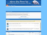 africangreyparrot - African Grey Parrot Info africangreyparrot - African Grey Parrot Info