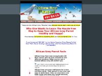 African Grey Parrot Secret African Grey Parrot Secret