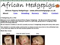 Information about the care of African Pygmy Hedgehogs