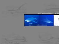 accommodation, calendar, bookings, links  accommodation, calendar, bookings, links