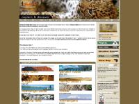 Africa Overland Tours