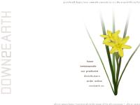 distributors  distributors