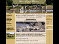 africansafaritanzania.com