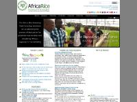 CGxchange, -mail, version française, Rice farming becomes new fad in Coast CGxchange, -mail, version française, Rice farming becomes new fad in Coast