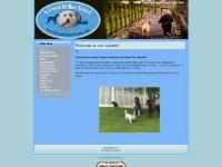 Requirements, Gift Certificates, Orijen Pet Foods, Directions Requirements, Gift Certificates, Orijen Pet Foods, Directions