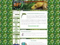 aft.asso.fr reptile, terrariophile, terrariophilie aft.asso.fr reptile, terrariophile, terrariophilie