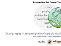 aftol.org people, participation, data aftol.org people, participation, data