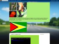 Vision Communications Inc Dare to Dream