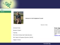 agadjanian.org Curriculum Vitae, Research Projects, Teaching