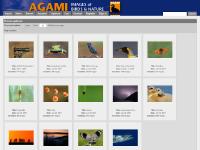 agami.nl kopen, verkopen, foto's agami.nl kopen, verkopen, foto's