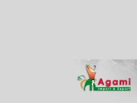 AGAMI GROUP AGAMI GROUP