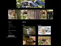 Agami Heron - Agami Heron -