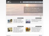 agapi.nu consulting, coaching, management