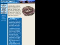 Beautiful Agates Nodule Mineral Fossils Specimen Mexican Agate