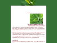 agaveplant.org agave plant, agave geminiflora, agave havardiana