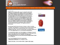 agawamlittleleague.com Board of Directors, By-Laws, Financials