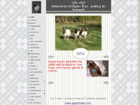 agderboer.com Forside, TIL SALGS, Gjestebok agderboer.com Forside, TIL SALGS, Gjestebok