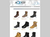 agdesy.com