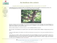agencedesarbres.org Taille, Traitements, Dossiers agencedesarbres.org Taille, Traitements, Dossiers