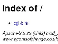 agentsofchange.co.uk