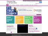 Chwarae Teg - Agile Nation Project - Home