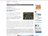 Agile Cat — in the cloud Agile Cat — in the cloud