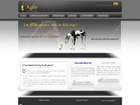 Agile | Internet Marketing Boston Ma | SEO.