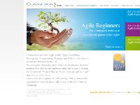 agilepractitioners.co.uk agilepractitioners.co.uk