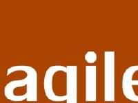 Agile Scripting Limited Agile Scripting Limited