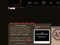 Agility Consulting and Training Agility Consulting and Training