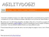 agilitydogz.co.uk