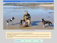 agilitynut.com Roadside Architecture, The Dogs, RESCUE?!