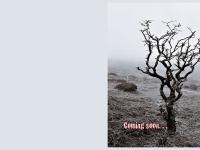 AgNO3 - Michel Pollet Photography AgNO3 - Michel Pollet Photography